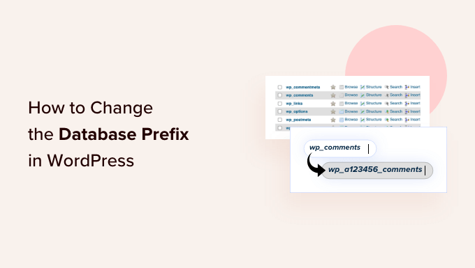 How to change the WordPress database prefix How to change the WordPress database prefix