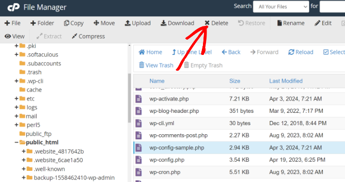Scalability Pro Review Is It the Right Optimization Plugin for You Delete core file from cPanel file manager