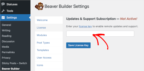 8 Dönüşümleri Hızlandırmak için En İyi Lead Magnet Araçları (Karşılaştırmalı) License key field in Beaver Builder