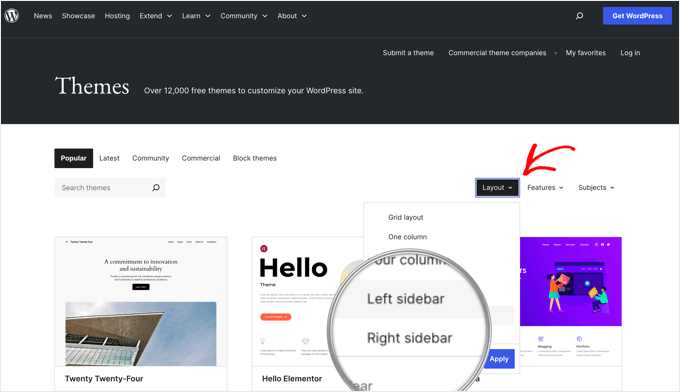 direct-checkout-woocommerce-new Filtering WordPress Themes With a Sidebar