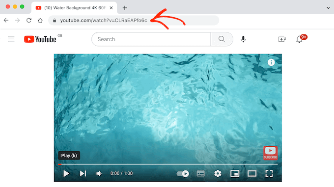 Getting the URL for a YouTube video Getting the URL for a YouTube video