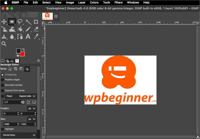 Choose a Name for the Bot The new image version in GIMP's editor