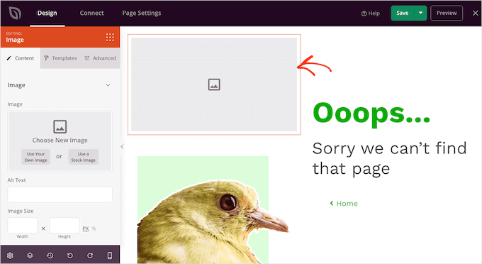 Paste code snippet into WPCode Adding a border to an image with SeedProd