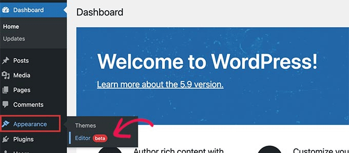 Site Editor makes it debut appearance in WordPerss 5.9 Site Editor makes it debut appearance in WordPerss 5.9