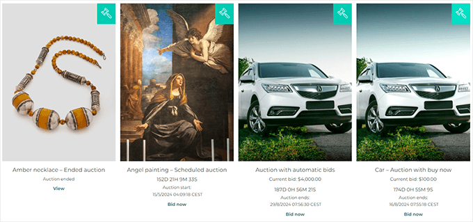 Auctions displayed on the Shop page Auctions displayed on the Shop page