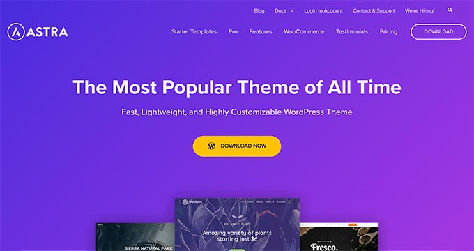 Astra WordPress Theme Astra WordPress Theme