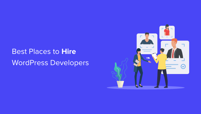 Best places to hire WordPress developers Best places to hire WordPress developers