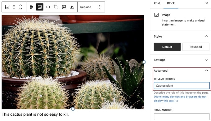 Adding an Image Title in the Block Editor Adding an Image Title in the Block Editor