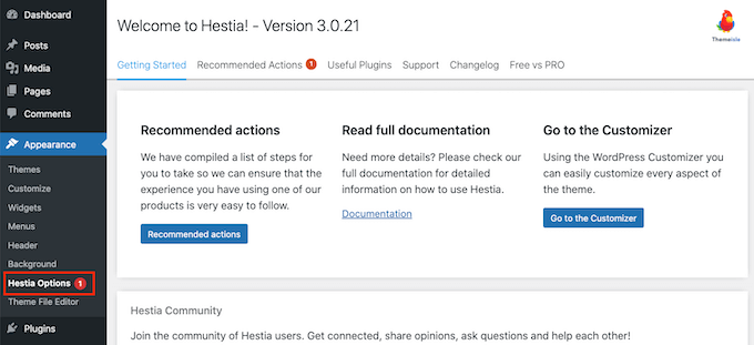 The Hestia options panel The Hestia options panel