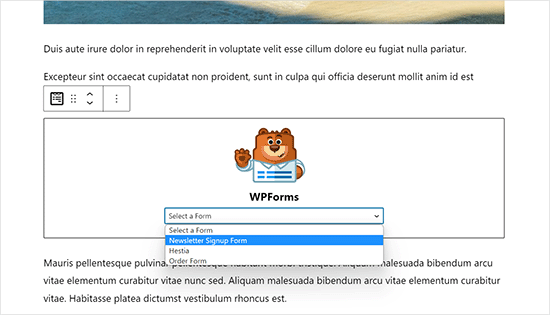Add newsletter form in posts and pages Add newsletter form in posts and pages