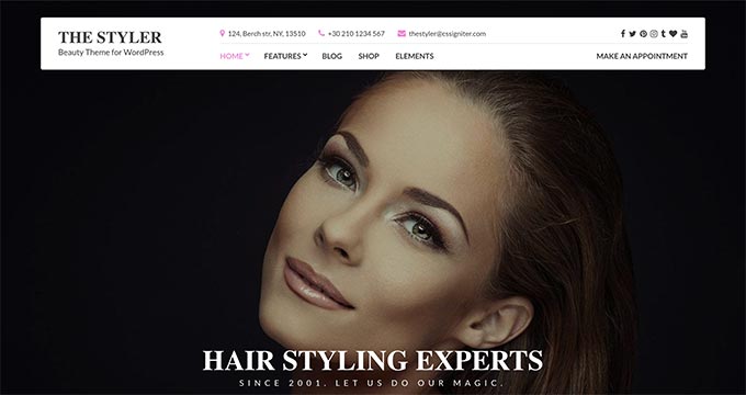 The Styler The Styler