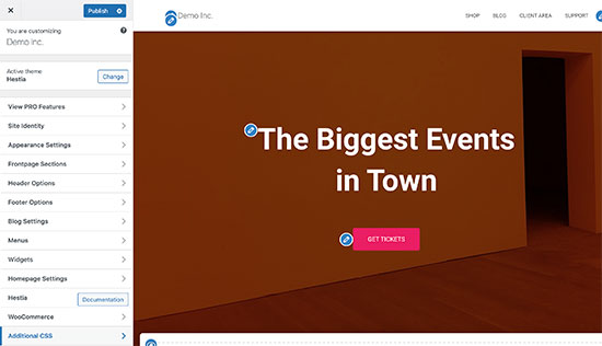 Theme customizer in WordPress Theme customizer in WordPress