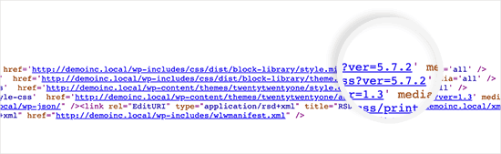 WordPress'te Belirli Yazılarda Reklam Blokları Nasıl Görüntülenir? WordPress version shown with CSS and JS files