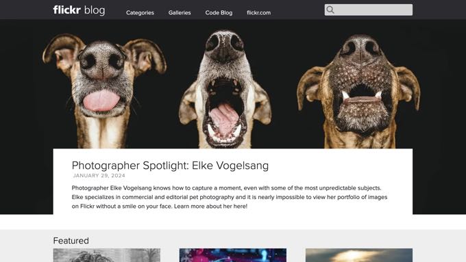 Flickr Blog Flickr Blog