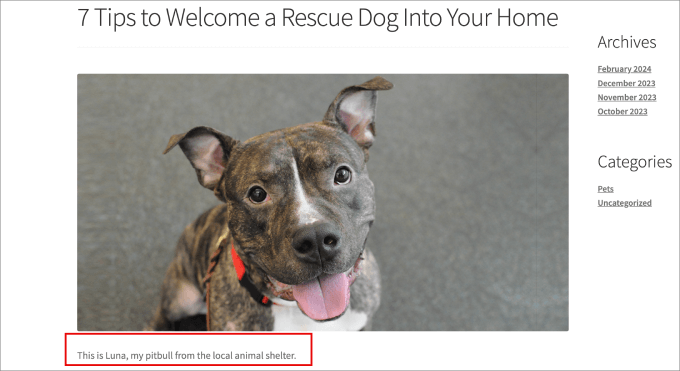 featured image caption preview featured image caption preview