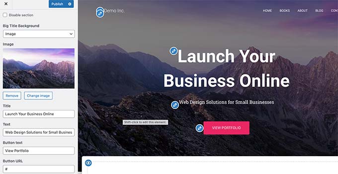 expanded option in theme customizer expanded option in theme customizer