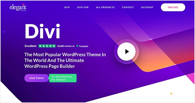Elegant Themes Divi Elegant Themes Divi