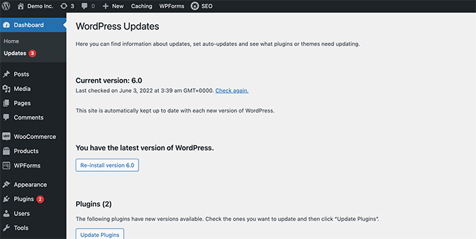 WordPress updates WordPress updates