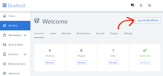 Log into your new WordPress website Log into your new WordPress website