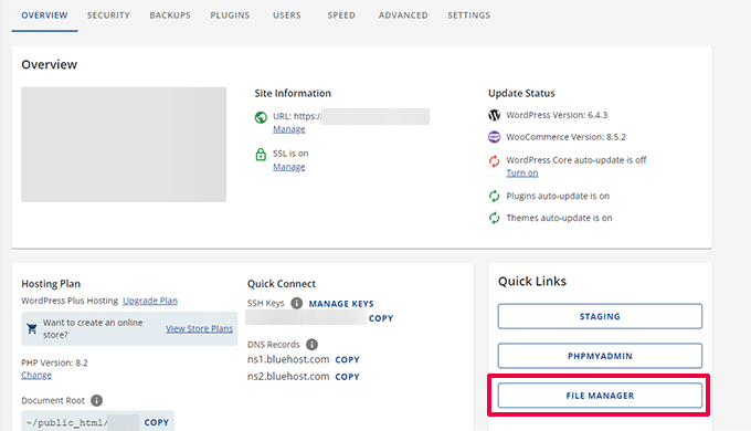 Bluehost File Manager button Bluehost File Manager button