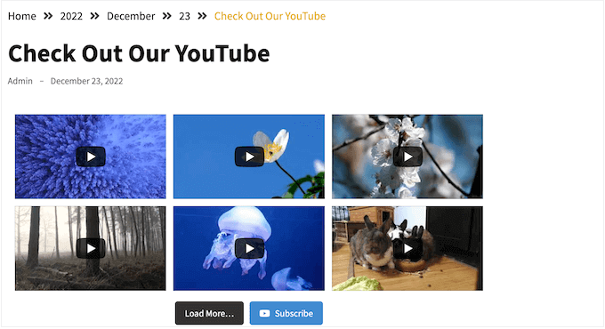 How to embed YouTube videos in WordPress How to embed YouTube videos in WordPress