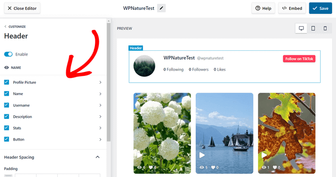 Configuring a TikTok feed on your WordPress blog or website Edit TikTok feed header