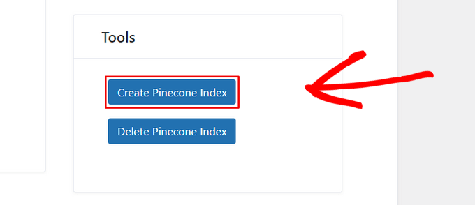 Create Pinecone index Create Pinecone index