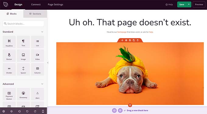 Create 404 page using SeedProd Create 404 page using SeedProd