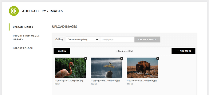 Add gallery images in NextGEN Add gallery images in NextGEN