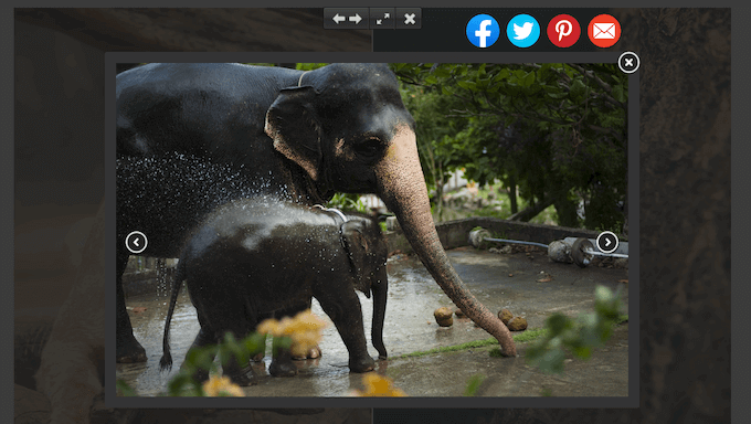 Adding social sharing buttons to a WordPress gallery Adding social sharing buttons to a WordPress gallery
