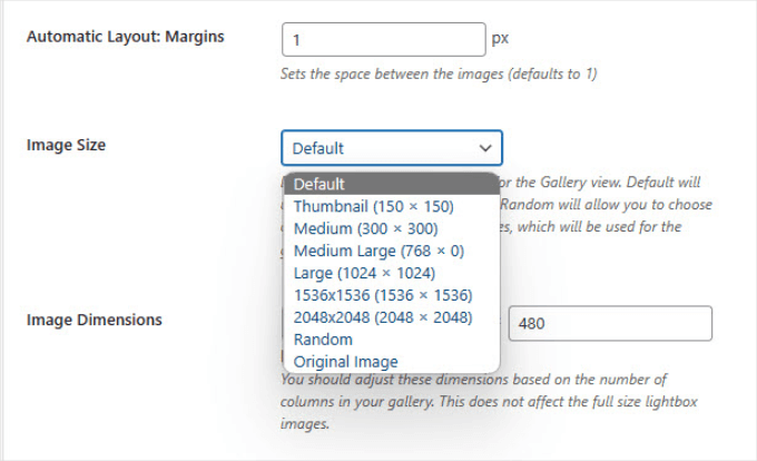 Choose pages to show your campaign on Image size in Envira Gallery