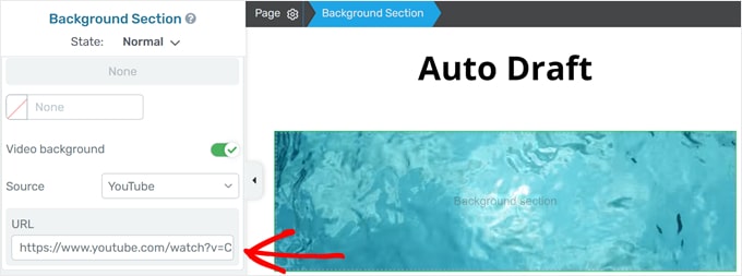 Pasting video background URL in Thrive Architect Pasting video background URL in Thrive Architect