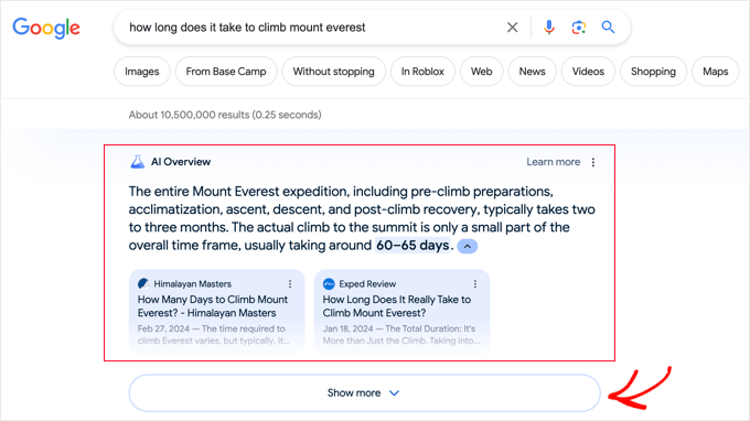 Google AI Overviews Example Google AI Overviews Example