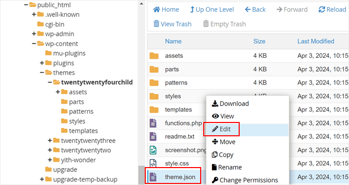 Editing a theme.json file manually with Bluehost file manager Editing a theme.json file manually with Bluehost file manager