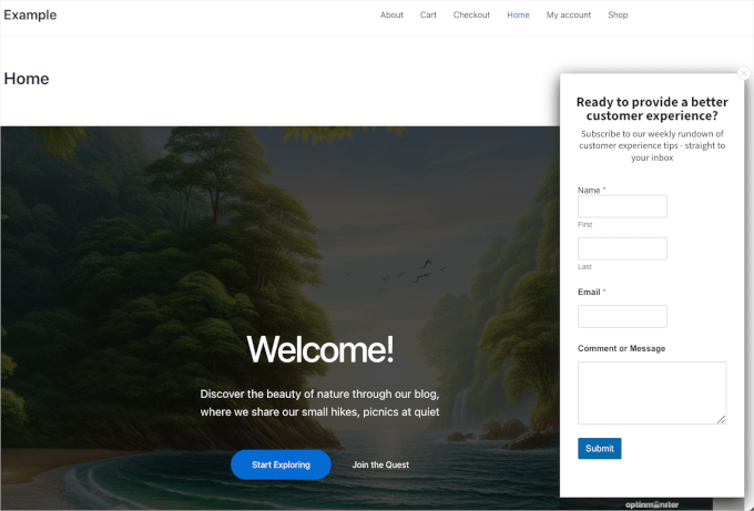 How to add the BuddyBoss theme to your WordPress website WPForms and OptinMonster's floating form on a live website