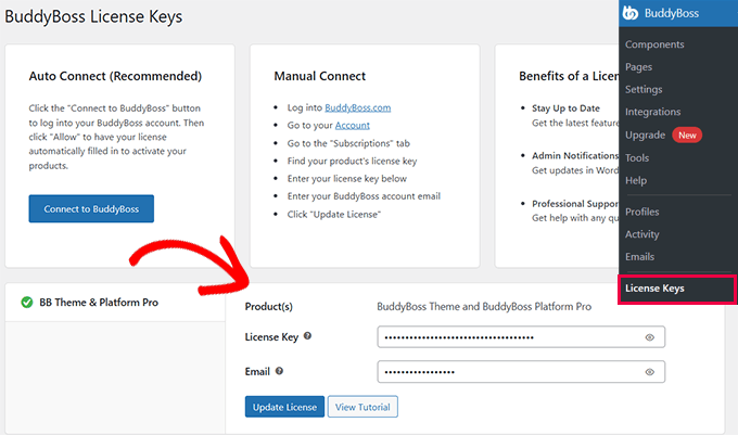 How to Install and Setup Comment Hacks for WordPress Enter your BuddyBoss license key