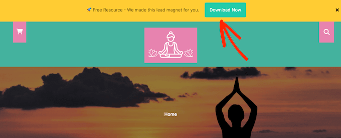 Adding an alert bar to your WordPress website, blog, or online marketplace