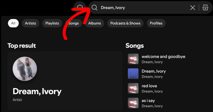 Using Spotify search feature Using Spotify search feature